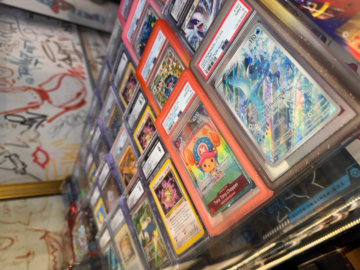 Trading Card Games(Pokemon, OnePiece)